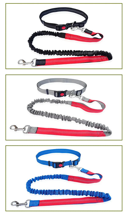 Woof Free® - The Hands Free Leash!