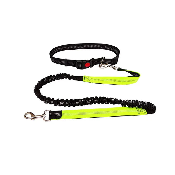 Woof Free® - The Hands Free Leash!