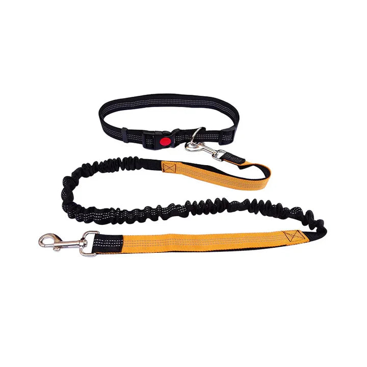 Woof Free® - The Hands Free Leash!