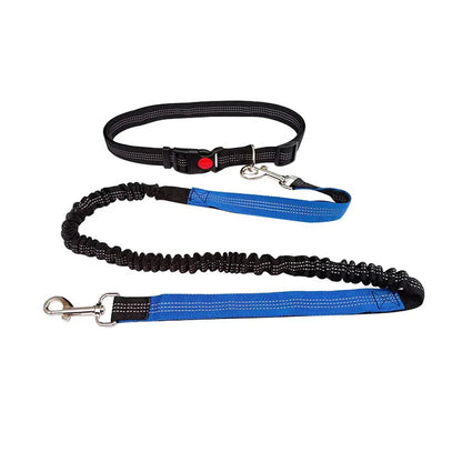 Woof Free® - The Hands Free Leash!