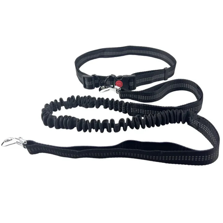 Woof Free® - The Hands Free Leash!