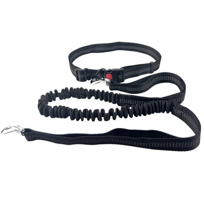 Woof Free® - The Hands Free Leash!